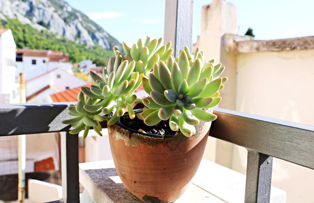 Roso Appartement Gradac  Buitenkant foto